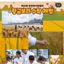 광안리어방축제 | 23회 광안리 어방축제 후기