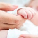 대한민국결혼 이미지