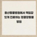 용산종합동물병원 이미지