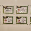 엘바디핏 이미지