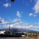 정업농장 | 제주도 서귀포시 가볼만한곳 산방산 산방굴사 형제섬 큰엉해안경승지