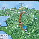 전남 장성 축령산 편백숲 후기 🌲 | 코레일 여행 가는 달 QR 인증 장소