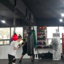 와룡복싱 이미지