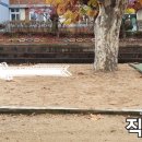 함창중앙초등학교병설유치원 이미지