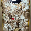 부평문화로66번길 이미지