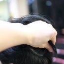헤어닥 이미지