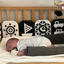 (주)에스원 성북지사 | 동대문구 산후도우미 업체 엔젤스맘 옳은 선택이었다(신청 방법, 비용)