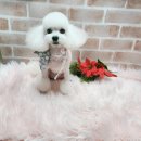소미미용실 이미지