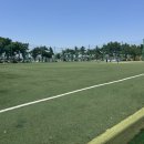 을숙도 리틀야구장 이미지