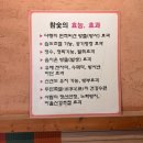 강원참숯 찜질방 | 원주 치악산 참숯가마 - 찐 불가마 힐링여행🔥 - feat. 오겹살구이