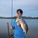 낚시회관낚시터 | 충남 예산 예당지 깨끗한 좌대, 낚시회관 후기