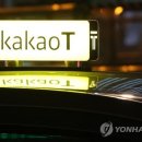 카카오펫 이미지