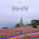 145-2-000031 | 1박 2일 부산여행 : 톤쇼우, 광안리해수욕장, 연화리해녀촌, 해동용궁사