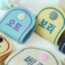 강아지클럽 이미지