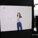 보니알렉스 네이버블로그