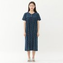 H1431 이미지