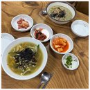 성산일출봉손칼국수 | 든든한 아침 식사로 최고! 성산일출봉 맛집 고궁보말손칼국수 후기