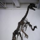 테논토사우루스 이미지