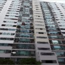 하단동1161 이미지