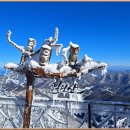 ＜2월 17일 토요일 정기도보＞ 천년 동안 간직한 아름다운 설경 &#34;천년 주목숲길&#34; 이미지