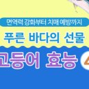 화덕에서나온고등어