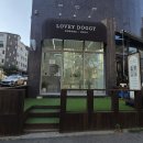 러비도기 | loveydoggy [파주 운정 러비도기] 애견샵 다녀왔어요.