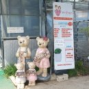 용하농장 이미지