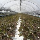 두런두런영농조합법인 이미지