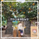 제주쭈니농장