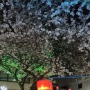 세븐일레븐 제주전농로점 이미지