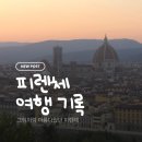 피렌체 | 그림같았던 피렌체 여행 후기