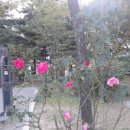 원당근린공원 이미지