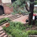 양평양동9단지 | 양평 용문산관광단지 맛집 경기도 갈비 재방문 후기 대디스바베큐