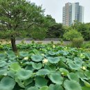 미추홀공원 다례원 이미지