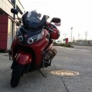 소야 솔밭 이미지