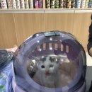 천지동물병원 이미지