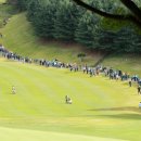 플레이골프 이미지