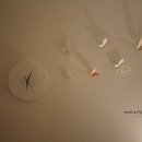 네르하쏠 이미지