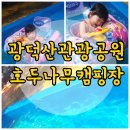 광덕산관광농원호두나무캠핑장 이미지
