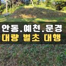 안동 풍천 풍산 대량 벌초대행 묘지관리 작업