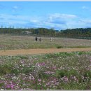 경포저류지 이미지