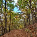 둔기마을 이미지