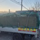 한반도면-8 이미지