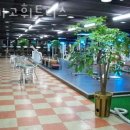 시카고휘트니스 네이버블로그