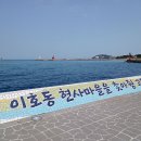 제주원 Daum카페
