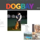 동탄호수동물병원 이미지