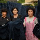 염색하기좋은날 이미지