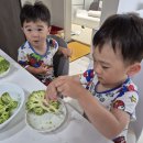 브로콜리 가정 연계 활동 (이은수) 이미지