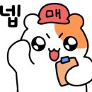 수서-105 이미지