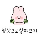 피나클스탠다드 이미지